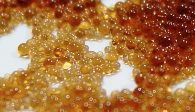 Ion exchange resin beads