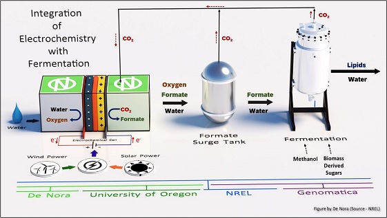 De Nora to Partner with NREL, University of Oregon, and Genomatica to ... - Biorefining%20concept%20image%20649x317